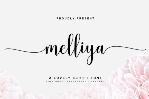 Enhance Your Brand with Melliya: A Premium Script Font