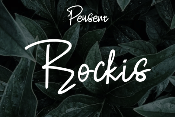 Rockis: The Perfect Script Font for Elegant Web Design