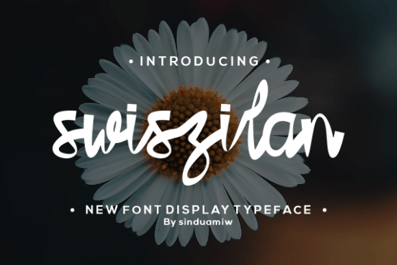 Swiszilan: A Handwritten Font for Bold Web Designs