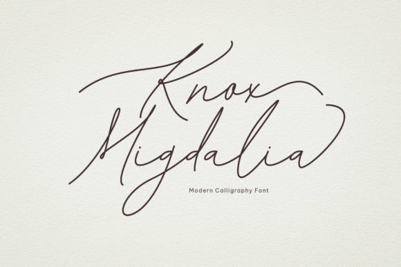 Transform Your Brand with Knox Migdalia Font